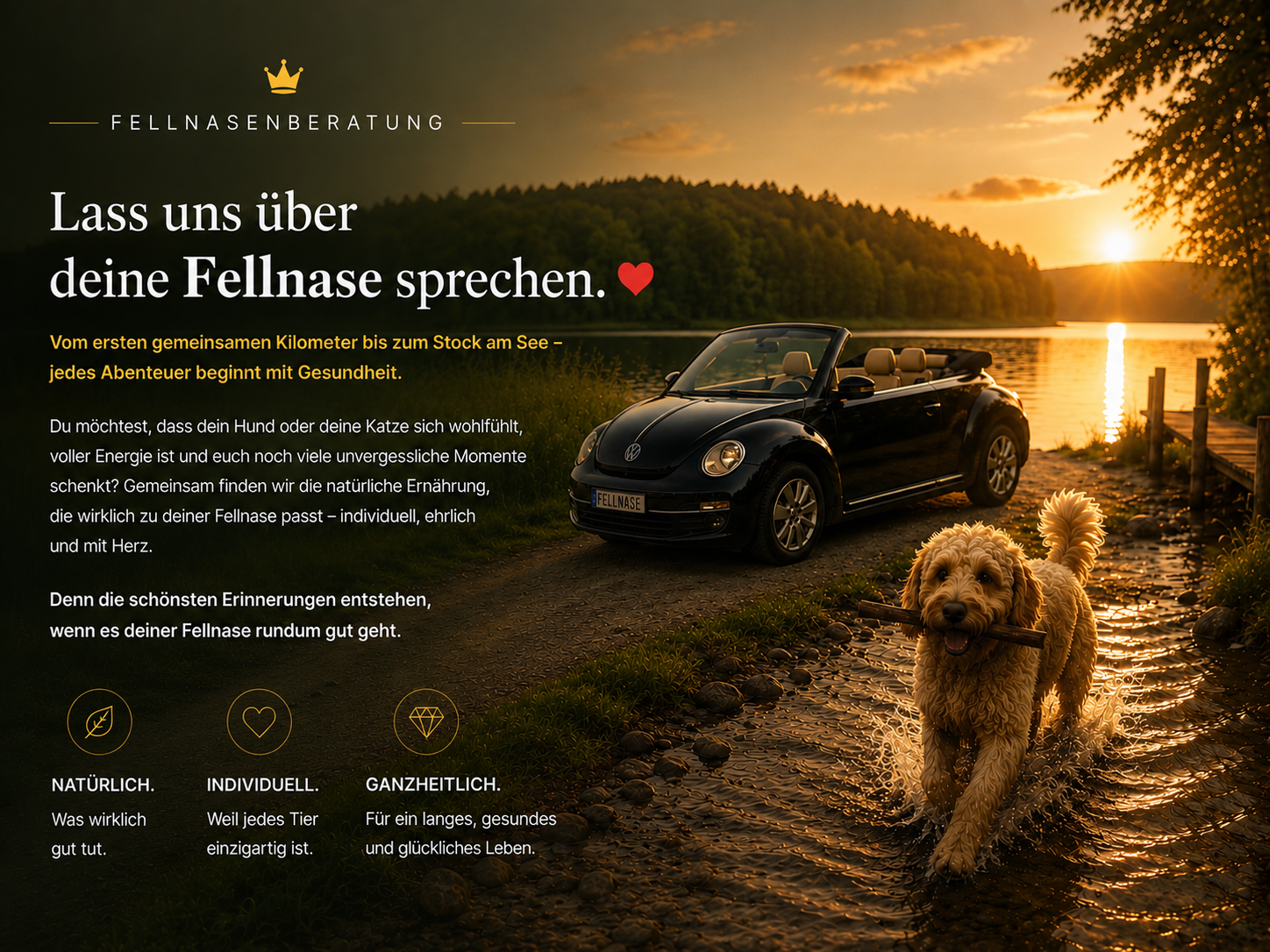 Ernährungsberatung für Fellnasen - Hunde und Katzen - Fellnasenberatung