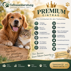 Premium-Eintrag für Tierdienstleister bei Fellnasenberatung mit mehr Sichtbarkeit und umfangreichem Anbieterprofil